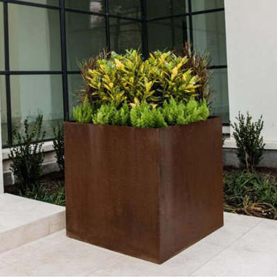 SGS TUV Corten Steel Cube Sadzarka Wycinane laserowo Zardzewiałe stalowe donice odporne na ścieranie