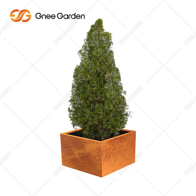 Metalowe gięcie Rusty Corten Steel Planter Box na zewnętrznym patio